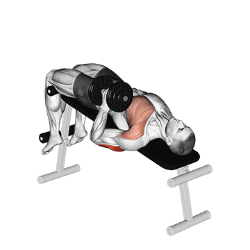 dumbbell decline one arm hammer press demonstration