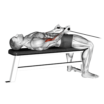 cable lying bicep curl demonstration