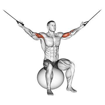 cable overhead curl on exercise ball demonstration