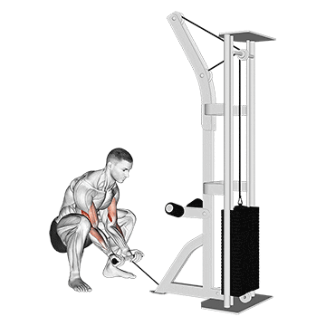 cable squatting curl demonstration