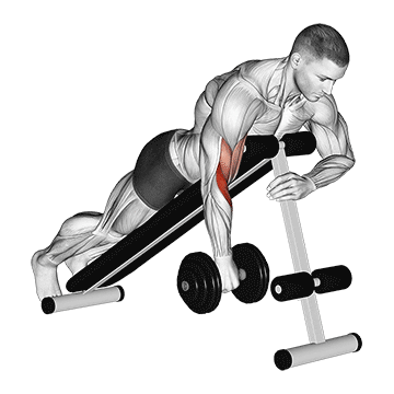dumbbell one arm reverse spider curl demonstration
