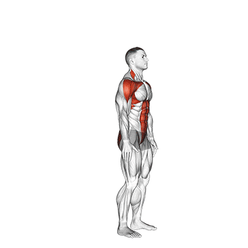 posterior step to overhead reach demonstration