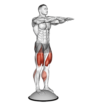 squat on bosu ball demonstration