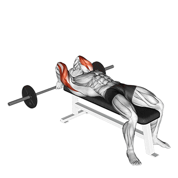 barbell lying back of the head tricep extension demonstration