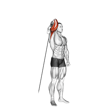 cable standing reverse grip one arm overhead tricep extension demonstration