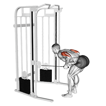 cable two arm tricep kickback demonstration