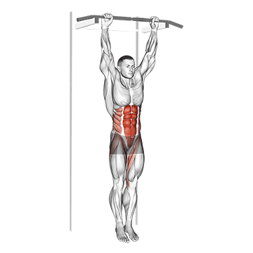 hanging leg hip raise demonstration