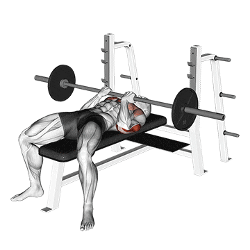 barbell reverse close-grip bench press demonstration