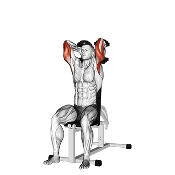 dumbbells seated triceps extension demonstration