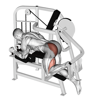 lever hip extension v. 2 demonstration