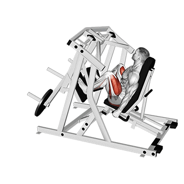 lever alternate leg press  demonstration