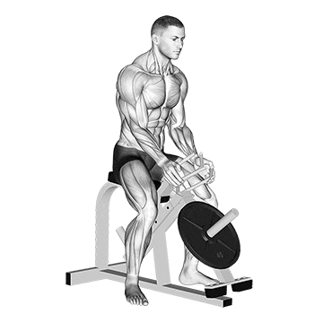 lever gripper hands  demonstration