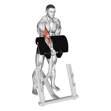 dumbbell standing zottman preacher curl demonstration