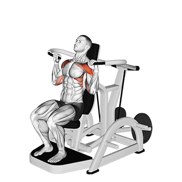 lever shoulder press  v. 3 demonstration