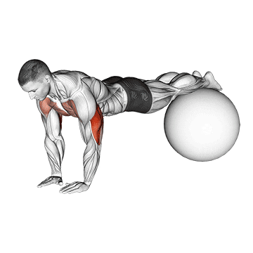 narrow push-up on exercise ball demonstration