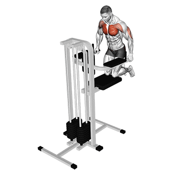 assisted wide-grip chest dip (kneeling) demonstration