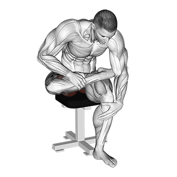 seated piriformis stretch demonstration
