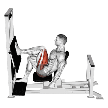 lever horizontal one leg press demonstration