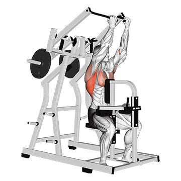 lever reverse grip lateral pulldown  demonstration