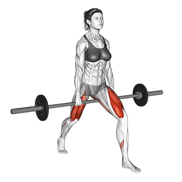 barbell split squat v. 2 demonstration