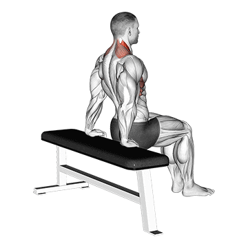 scapula dips