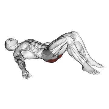 low glute bridge on floor demonstration