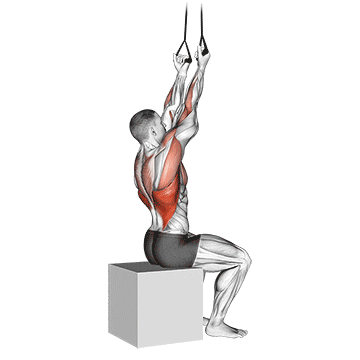 band fixed back underhand pulldown demonstration