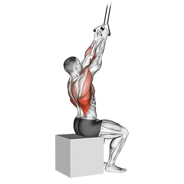 band fixed back close grip pulldown demonstration