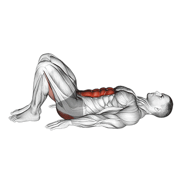 pelvic tilt demonstration