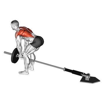 lever bent-over row with v-bar  demonstration