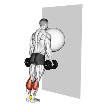 exercise ball on the wall calf raise (tennis ball between ankles) demonstration