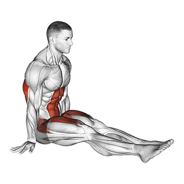l-sit on floor demonstration