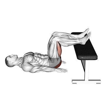 glute bridge two legs on bench (male) demonstration