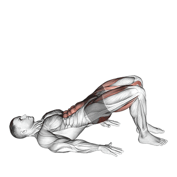 glute bridge march demonstration
