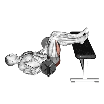 barbell glute bridge two legs on bench (male) demonstration