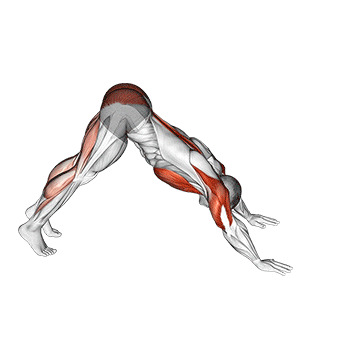 pike-to-cobra push-up demonstration