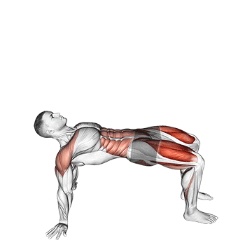 reverse plank with leg lift demonstration