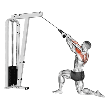 cable kneeling rear delt row (with rope) (male) demonstration