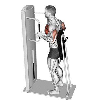 lever standing chest press demonstration