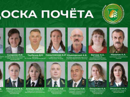 Почёт, слава и уважение лучшим работникам лесного комплекса Вологодчины!