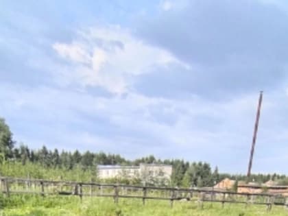 Прекрасные новости от экоотряда "СОСЕНКА" из Великого Устюга