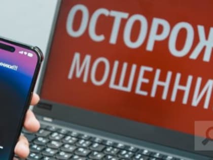 Полиция Череповца борется с мошенничеством и дистанционными кражами