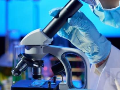 В России зарегистрированы случаи лихорадки Западного Нила