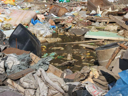 В Череповце уберут незаконную свалку на Кирилловском шоссе