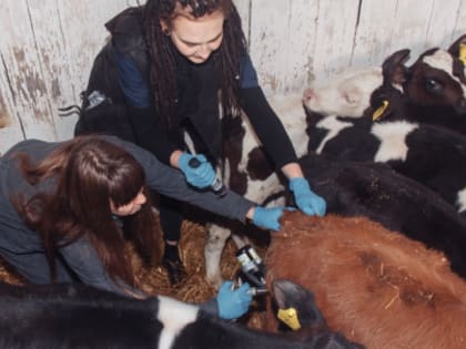 Взаимовыгодное сотрудничество. Работодатель, трудоустроивший на стажировку молодого специалиста, может рассчитывать на частичную компенсацию затрат