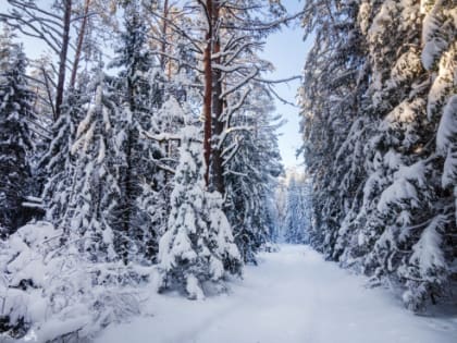 Правительство России продлевает отсрочку по уплате страховых взносов для компаний из 70 секторов экономики
