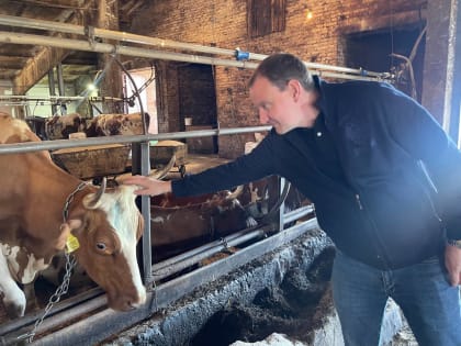 Проблемы с оформлением земли в Вологде решены за месяц