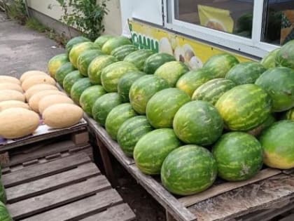 Проверка санитарного состояния в Вологде