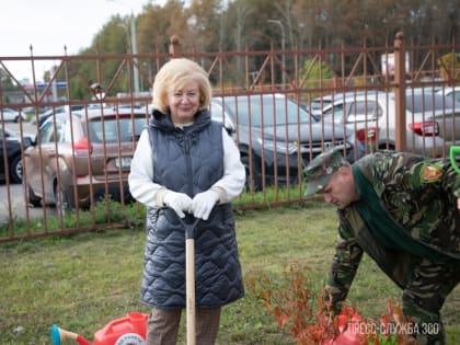 Депутаты Лариса Кожевина и Антонина Фёдорова приняли участие в посадке кленовой аллеи в Вологде