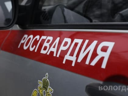 20 правонарушений пресекли вологодские росгвардейцы за неделю